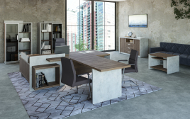 Кабинет руководителя WOOD&STONE