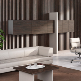 Кабинет руководителя ERA