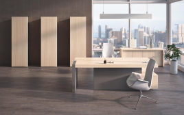 Кабинет руководителя ERA