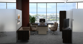 Кабинет руководителя ERA