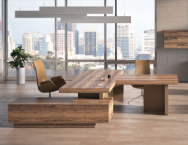 Кабинет руководителя ERA