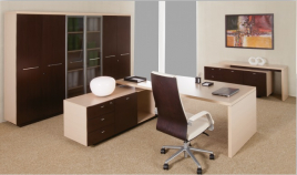 Кабинет руководителя Esperto