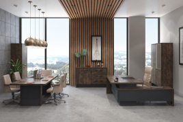 Кабинет руководителя Торстон