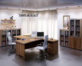 Кабинет руководителя Focus Director