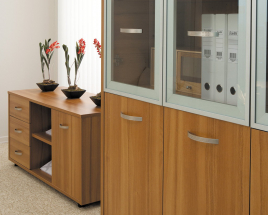 Кабинет руководителя Tango & Tango Lux