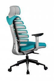 Кресло для персонала Riva Chair SHARK
