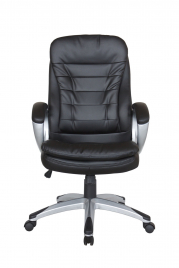 Кресло для руководителя Riva Chair 9110